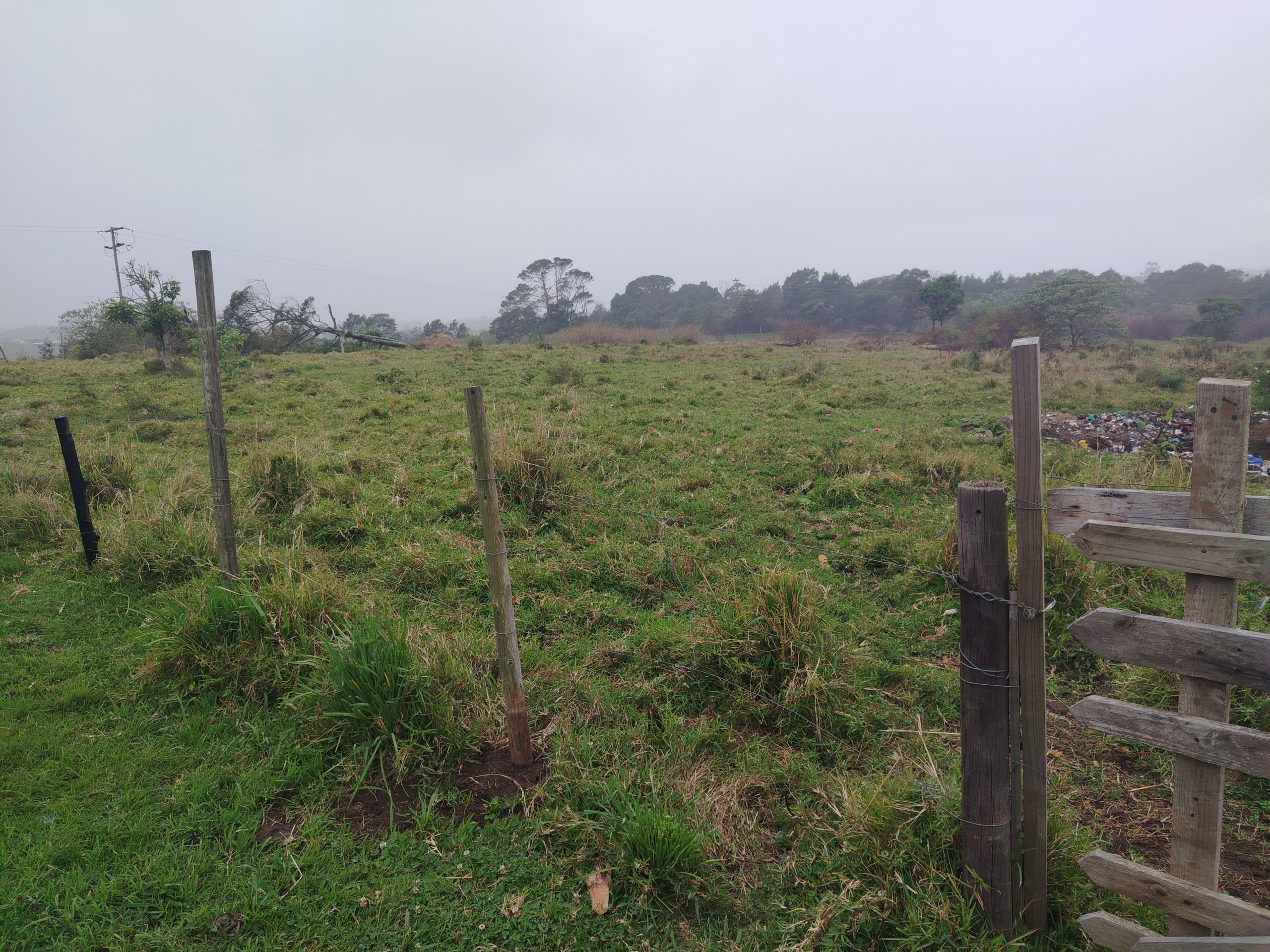 Luxury lifestyle farm – 12 hectares of beauty & income