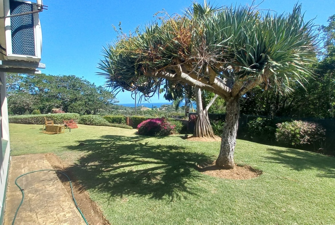 Prime Investment Opportunity: 7-Bed Coastal Gem on 2,800sqm plot.